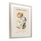 Stupell Industries Natural Lotus Bundle Framed Print Under Glass, design by Christopher Giampietro
